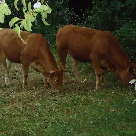 Un Coin De Paradis Avec Vue Exceptionnelle Pour 4 Ou 5 Personnes