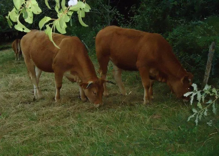 Un Coin De Paradis Avec Vue Exceptionnelle Pour 4 Ou 5 Personnes